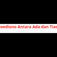 terimakasihboediono-sosok-yang-terlupa-padahal-ri-2-pada-masanya