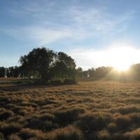 ajakan-kurang-2-orang-male-only-join-trip-argopuro-26-desember---3-januari-2014