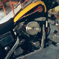 harley-davidson-lovers--enthusiast