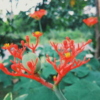 official-lounge-sony-xperia-z3---don-t-settle-for-good-demand-great