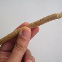 barang---barang-yang-sering-dipakai-orang-indonesia-buat-bersihin-kotoran-gigi