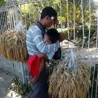 ane-nemu-foto-ini-di-facebook-gan-sedih-banget-ane-liyatnya