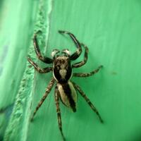 focuss-photography-community-on-kaskus---regional-bekasi