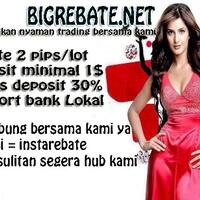 bigrebate--rebate-2pips-depo-min-1-bonus-30-mari-belajar-brsama-kami-update-news