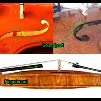 violinist-masuk-baca-page-one-dulu