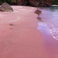 fr-pantai-pe-de-surga-tersembunyi-pasir-pink-sebelah-barat-desa-komodo