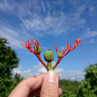 official-lounge-sony-xperia-z3---don-t-settle-for-good-demand-great