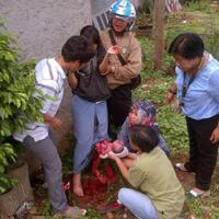 astagfirullahsiswi-smk-melahirkan-di-kebun-warga