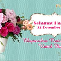 flower-advisor--mother-s-day-and-christmas-package