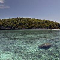 perburuan-hiu-di-raja-ampat