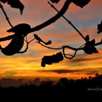 all-about-fotografi-seputar-bangka-belitung