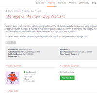 lowongan-freelance-manage--maintain-bug-website-budget-rp-20jt