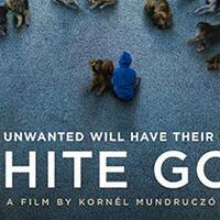 white-god-2014