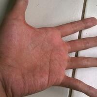 share-tentang-pengetahuan-keilmuan-garis-tangan---palmistry