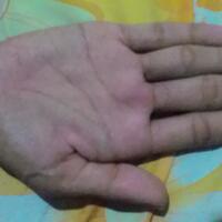 share-tentang-pengetahuan-keilmuan-garis-tangan---palmistry