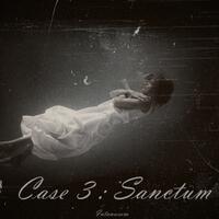 case-3--sanctum