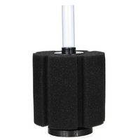 datnoids-aka-tiger-fish