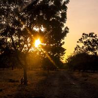 kampung-canoners---part-15