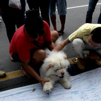 charles-gond-mengakui-menyiksa-binatang-dan-dipamerkannya-di-media-sosial