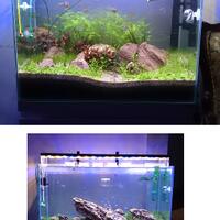 aquascape-for-everyone-learning-and-sharing---part-1