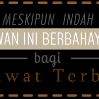 meskipun-indah-awan-ini-berbahaya-bagi-pesawat-terbang