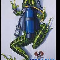 4-aksi-hebat-kopaska-cari-jenazah-korban-airasia-di-pangkalanbun