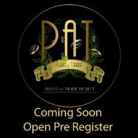 arizaltp-money-game-industry