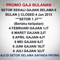 lie-young-team--induk-arisan-safnida--profit-100