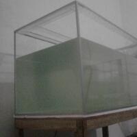 aquarium-thingy-for-starter-dari-newbie-untuk-newbie---part-1