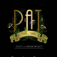 arizaltp-money-game-industry