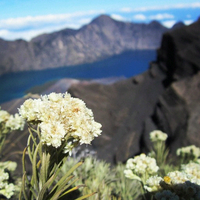 p-h-o-t-o--sharing-photo-kegiatan-outdoor-kamu-disini