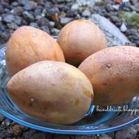 just-share-manfaat--khasiat-buah-sawo-acrhras-zapota-bagi-kesehatan