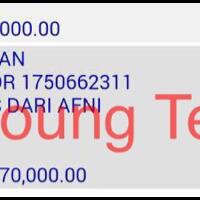 lie-young-team--induk-arisan-safnida--profit-100