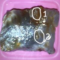 misteri-combong--kayu-batu-besi-yang-berlobang