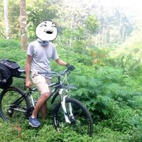 official-polygon-premier-all-series-users