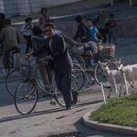 peraturan-aneh-untuk-wanita-di-korea-utara