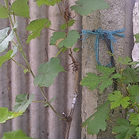 post-image