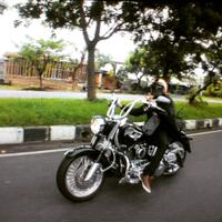 harley-davidson-lovers--enthusiast