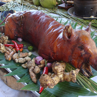 babi-dilarung-ke-laut-langsung-hujan-disertai-petir-menggelegar