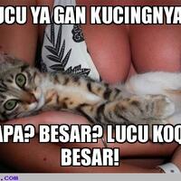 perang-meme-yuks-gan-galaumotivasikocak-dan-aneh