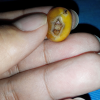 gemstones--berliansapphirerubydll