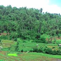 hiking-asik-ke-curug-roda-aka-curug-panganten