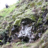 catper-the-marvelous-argopuro-3088-mdpl--28-desember---31-desember-2014