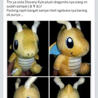 feedback-and-testimonials-stevanikyle