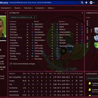 idfm--football-manager-2015--announced