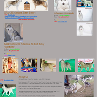 new-siberian-husky-lovers---read-page-1-for-update---part-2