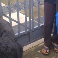 croottt-news-liat-mahasiswi-cantikonani-deh-diatas-motor