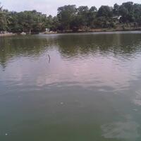 post-image