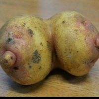 bb-17-buah-apa-ini