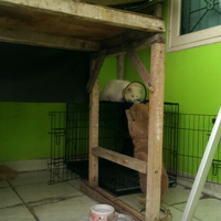 post-image